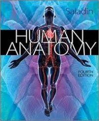 HUMAN ANATHOMY