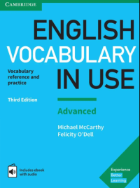 English Vocabulary in Use : Advanced 3rd Edition