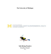 Ebook Penjas. Safe Diving Practice
