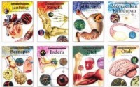 Melihat Dengan Mikroskop OTOT