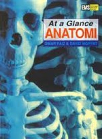 At a Glance ANATOMI